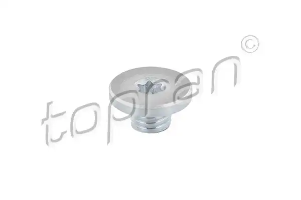 TOPRAN 115360 | Şanzıman Karter Tapası M10 1 5mm 10 Adet