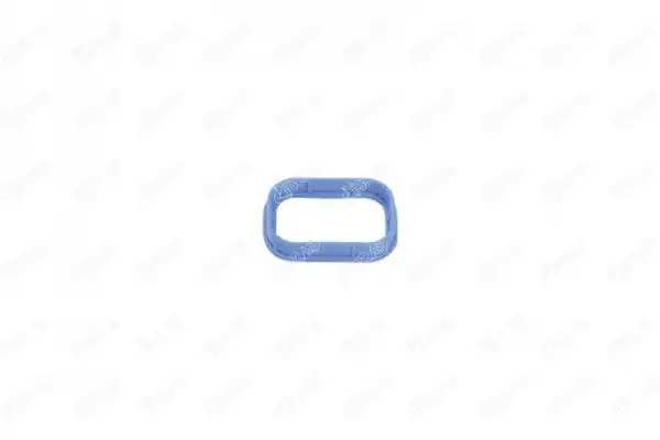 IBRAS 19385 | Ford Transit 2014 2018 Model Arası 2 2 TDCI Manifold Contası Emme Takım