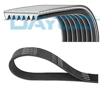 DAYCO 7PK2119 | Kanallı V Kayışı Toyota Land Cruiser 4 0 03 Land Rover Range Rover 3 9 4 0 4 6 88 02
