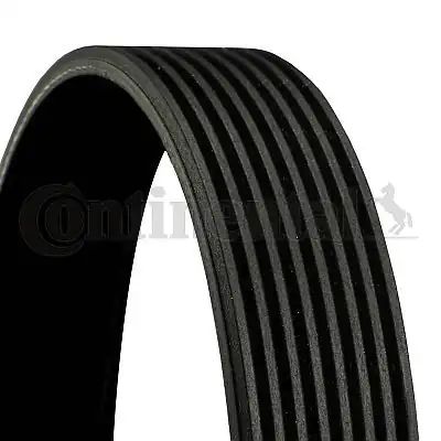 Continental Ctam 8pk1175 Kanallı Kayış Mazda 5 2 0cd 05 10 6 2 0d 02 10