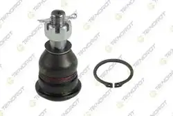 TEKNOROT N-102 | Rotil Nissan Almera 2000-2006 Primera 1990-1996 Sunny Sentra Infiniti G20