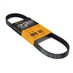 CONTINENTAL CTAM 5PK736 | Kanallı Kayış Peugeot Citr XM 605 Ferrari Landrover Freelander 1.8