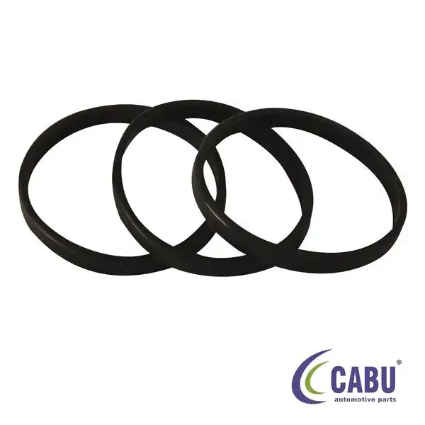 CABU 331307 | Termostat Contası Focus II Mondeo İ II 2 0 16v 93 10 Adet