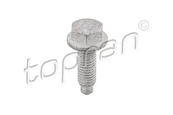 TOPRAN 107194 | Civata VW Golf3 Polo A3 1 9 TDI 10 Adet