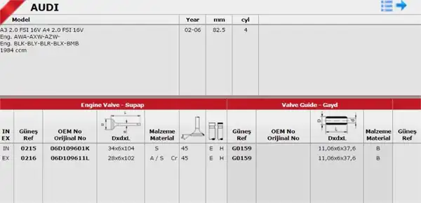 GÜNEŞ 0215-0216 | Subap Takımı VW Passat Golf5 Golf6 Audi A3 Seat Leon 2 0 FSI 16v Azw BLR IN 8 Ex 8