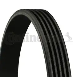 CONTINENTAL CTAM 5PK1285 | Kanallı V Kayışı Nissan Pathfinder II 3.3 V6 Alfa Romeo 155 1.7-2.0 92-98