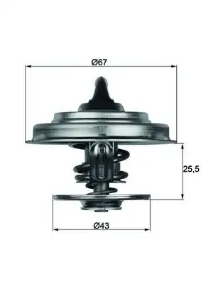 MAHLE TX1875D | Mercedes Actros Renault Iveco 75 C Conta Ile Termostat