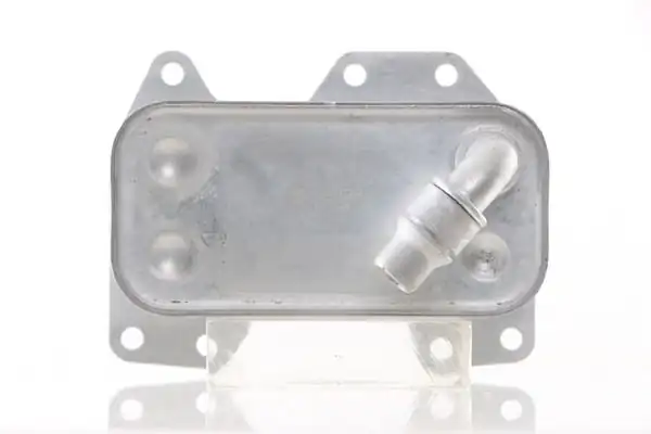 MAHLE CLC132000S | Yağ Soğutucusu Bmw E 60 61 535i N 54 Şanz. 847675