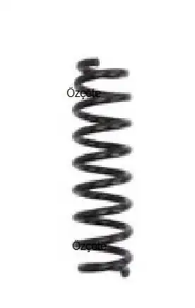 FROW HELEZON 8241233003 | Helezon Yayı Arka Bmw 3 E90 E92 2 Adet