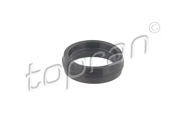 TOPRAN 117384 | Oring VW 10 Adet