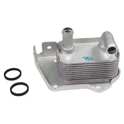 WAXELL 5650790 | Yağ Soğutucu Radyatörü Tek Z17dtl Astra H