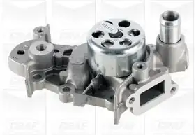GRAF PA981 | Devirdaim Renault Clio II 1 2 98 10 1565420