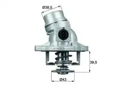 MAHLE TM12105 | Termostat 105°C 96-03 5-Seri (E39) X5 (E53)