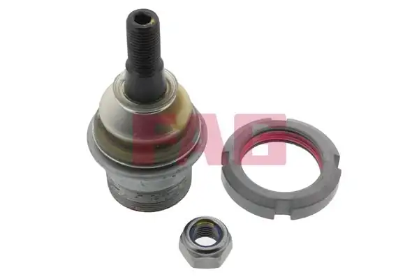 FAG 825007910 | Rotil M Serisi W163 B M 99 05