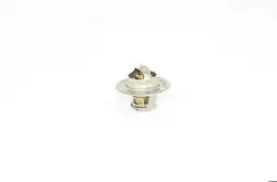 BSG 90-125-001 | Termostat Golf4-Bora-Polo Classic-Passat Akl-Aft-Adr-Alz-Aeb-Awt-Bkp-Bkd-Cbab-Cbda 1.6-1.8-2.0 TDI 97 -