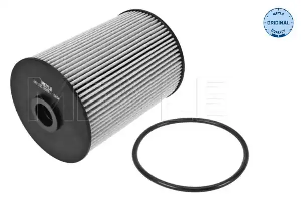 MEYLE 1003230005 | Yakıt Filtresi VW Golf V VI Caddy 1 6 1 9 2 0 TDI