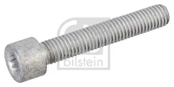 Febi Bilstein 03004 100 Mafsal Millerinin Civatası Amarok S1 Amarok 4 Motıon S1 100 Adet