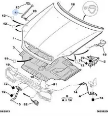 BSG 70-980-025 | Motor Kaput Amortisörü Xsara B.M 98 -