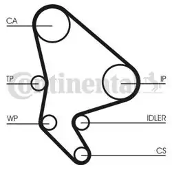 CONTINENTAL CTAM CT987WP2 | Triger Seti + Devirdaim Peugeot 306 307 406 Partner Dw10ated Fiat Ducato 2.0Jtd 95- / Scudo 2