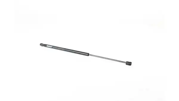BSG 15-980-045 | Motor Kaput Amortisörü Mini R50 R52 R53 Bm 01 07