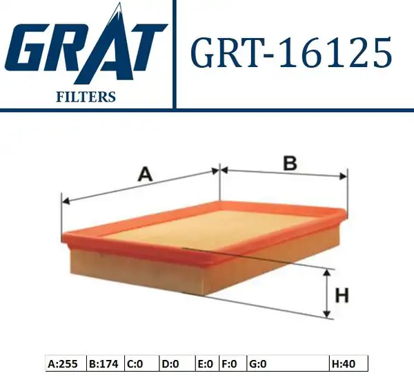 GRAT 16125 | Hava Filtresi Hyundai Elantra 00 06 Cerato 04 10 Benzinli