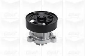 GRAF PA1070 | Devirdaim 02 Primera P12 X-Trail 2 0i 16v 140hp
