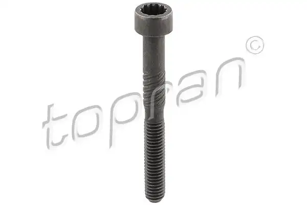 TOPRAN 119151 | Eksantrik Mili Kep Civatası M6 54 VW Caddy 04 11 Golf 98 09 Polo 00 10 Transporter 03 10 10 Adet