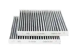 BSG 15-145-004 | Polen Filtresi F06-F07-F10-F11-F18-6 F12-F13-7F01-F01 Lcı-F02 Lcı Bm 10-17