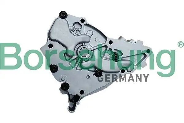BORSEHUNG B11902 | Yağ Pompası Bmw N20 N26 F20 F20 LCI F21 F21 LCI F22 F23 F30 F30 X1 X3 2001 2010 Bmw