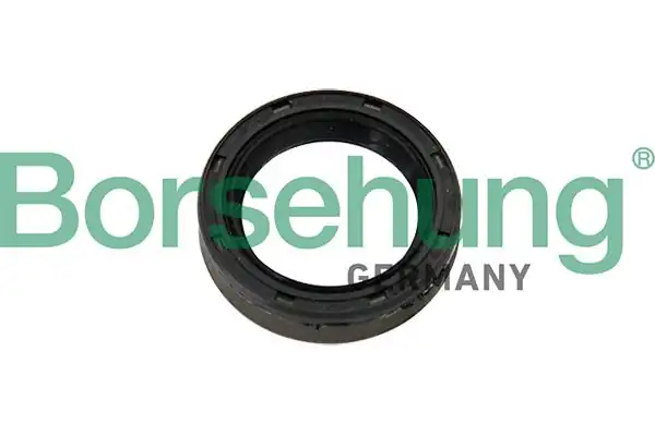 BORSEHUNG B12192 | Otomatik Şanzıman Mil Keçe 1 2 1 4 1 8 TSI 1 4