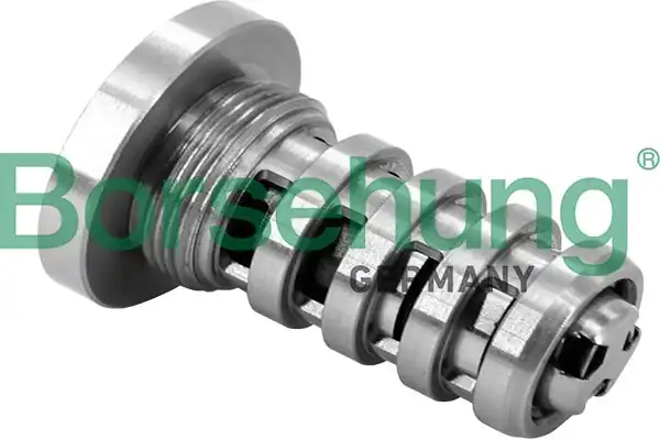 BORSEHUNG B12694 | Solenoıd Valf Eksantrik Mili Audi A3 A4 A5 A6 A7 Q3 Q5 Q7 Tiguan 1 8tsi 2 0 TSI