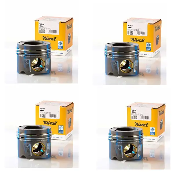Peugeot 207 1 6 Hdi Dizel Euro 4 Motor Piston Segman Takımı Standart Std Göetze Nural Orjinal 4 Adet Takım Set
