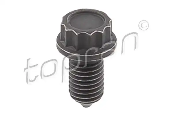TOPRAN 117244 | Civata VW 30 Adet
