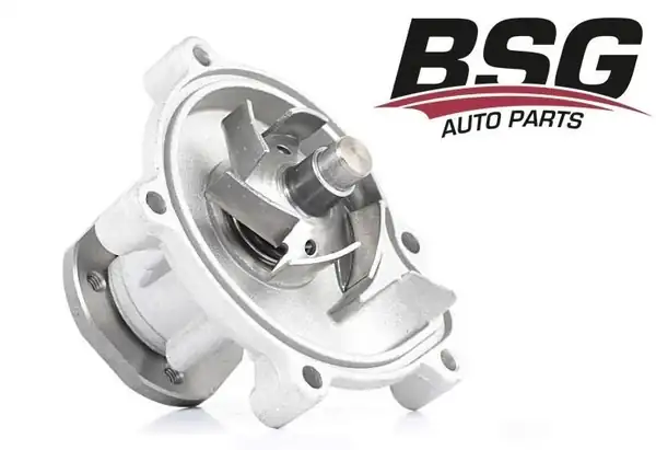 BSG 60-500-017 | Devirdaim W169 245 M266 Om 640 04 11