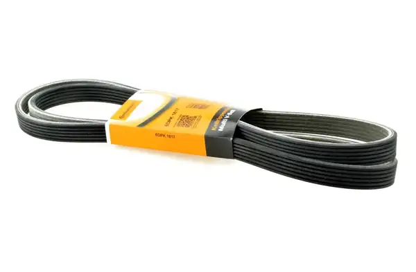 Continental Ctam 6dpk1817 Bmw E60 Kasa 520d N47 Motor V Kayışı E81 E87 E90 E91 E84 06 13