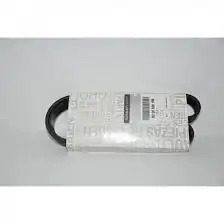 Mais 8200830196 Alternatör Kayışı 7pk1035 Renault Clio 3 1 2 16v Benzinli Clio 4 Twingo Modus