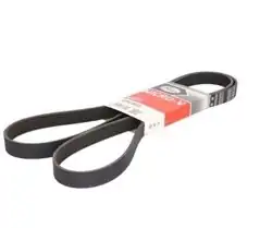 GATES 6PK1835 | Bmw 1 Serisi E87 Kasa 118d-120d M47 Motor V Kayışı