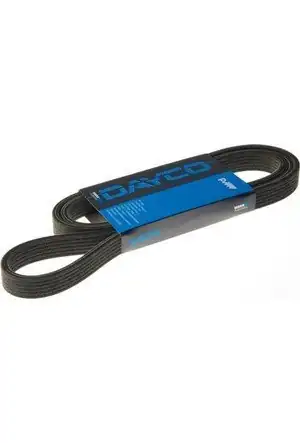 DAYCO 6PK1920 | V Kayışı Ford Focus Escort 1 6 Benzinli 95 05 Klimalı 48208