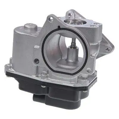 Volkswagen Passat  2006 - 2010 2.0TDI Egr Valfi Marelli Marka