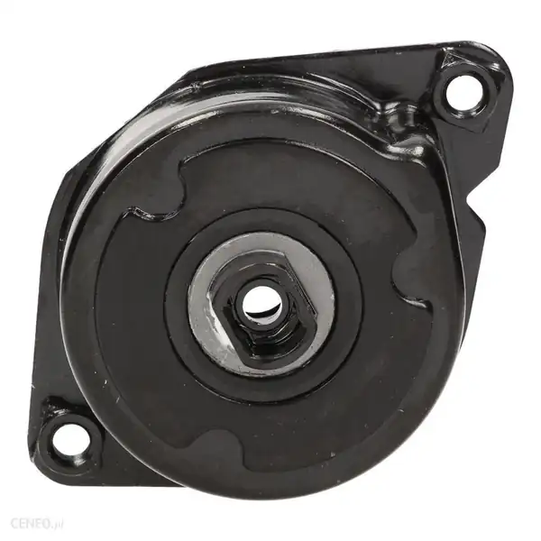 İna 534023910 Bmw E46 Kasa 320d M47 Motor Kayış Gergi Kütüğü