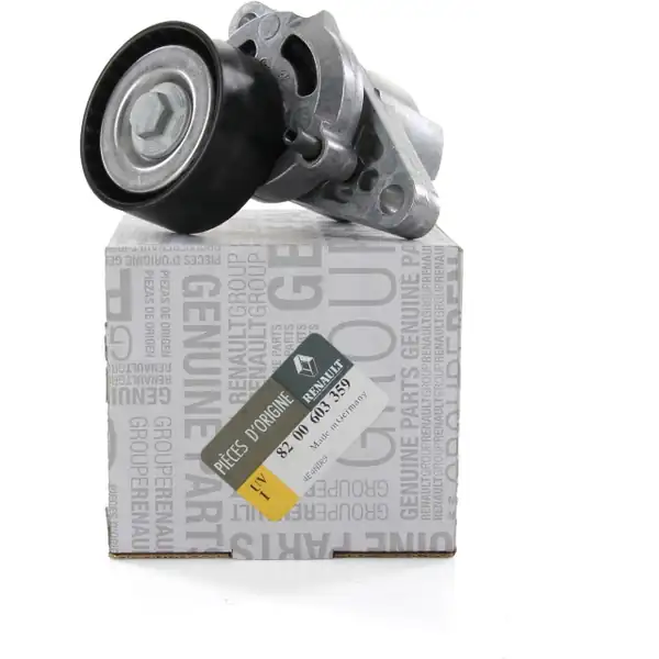 Renault Symbol 2006-2008 Benzinli Alternatör Gergi Rulmanı Mais Orjinal