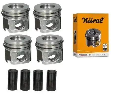 Göetze 70246std Bmw E90 E60 E61 E81 E82 E83 E87 E88 E91 N47 318d Piston Segman