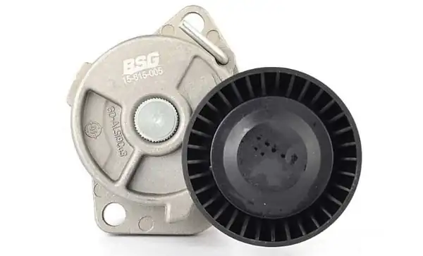BSG 15-615-005 | V Kayış Gergisi Komple E36 E46 M43 M44 95 01 8424