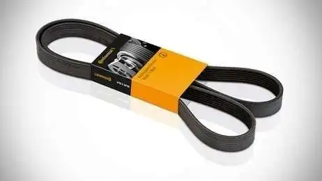 CONTINENTAL CTAM 7PK3120 | V Kayışı Transit V-347 / V-363 2,2 TDCI 11 -