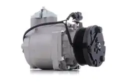 BEHR-MAHLE ACP87000S | Ford Connect 2003-2013 1.8 TDCİ Klima Kompresörü Mahle Marka