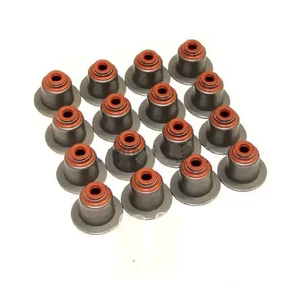 VİCTOR REİNZ 12-39398-01 | Subap Lastiği Takımı Bmw F10 520d N47 E81 E88 F20 E90 F30 11