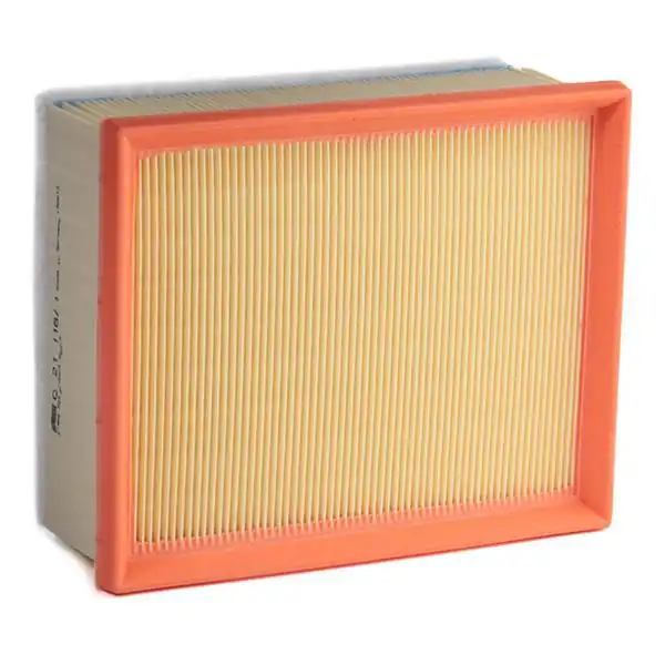 FILTRON AP130-6 | Hava Filtresi Peugeot 307 2 0 Hdi 1 4 1 6 Benzinli 00