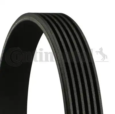 Continental Ctam 6pk1195 Kanallı V Kayışı Renault Clio IV Clio III Kangoo Megane III Captur Kadjar 1 5 dCi