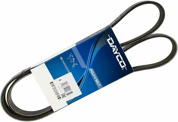 DAYCO 6PK1502S | Ford C Max Fiesta B Max Focus Ecosport 1 0 Ecoboost V Kayışı
